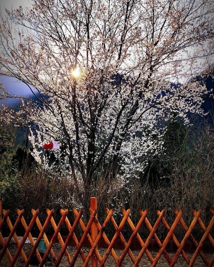 טולמין Moksha Slovenia מראה חיצוני תמונה
